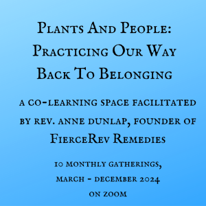 Black text on light blue background reads: "Plants and People: Practicing Our Way Back to Belonging. A Co-Learning Space Facilitated by Rev. Anne Dunlap, Founder of FierceRev Remedies. 10 Monthly Gatherings, March - December 2024. On Zoom."